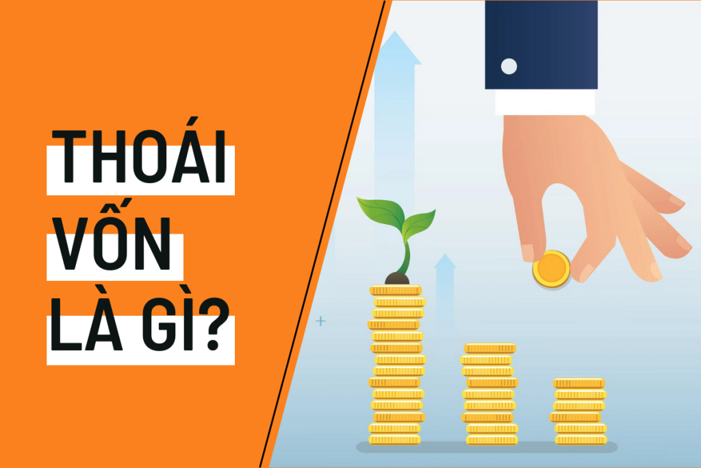 thoái vốn là gì