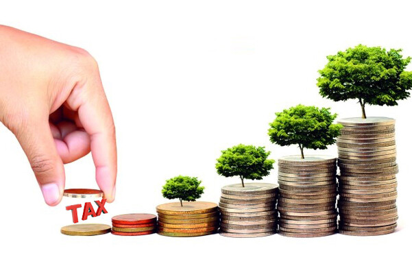 Thuế bảo vệ môi trường là gì?