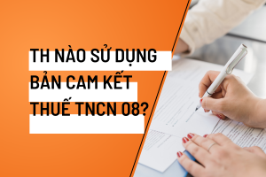 Bản cam kết thuế TNCN