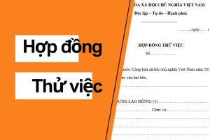 hợp đồng thử việc