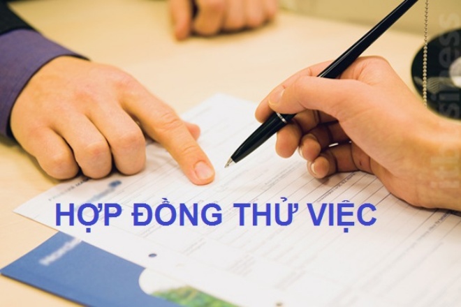 hợp đồng thử việc là gì
